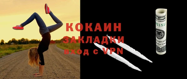 дживик Зеленодольск