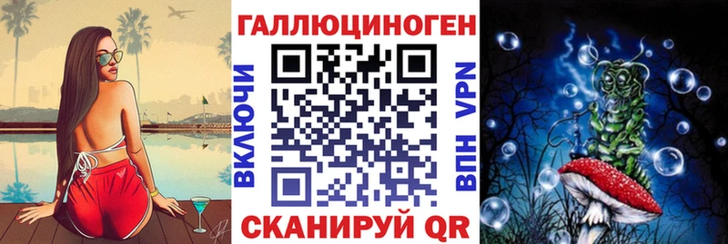 Псилоцибиновые грибы Psilocybine cubensis  Купить где  Цоци-Юрт 